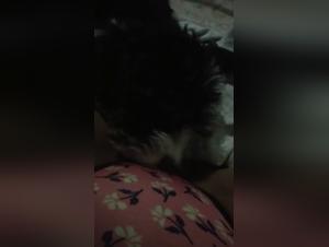 La domination féminine dans une scène de zoophilie