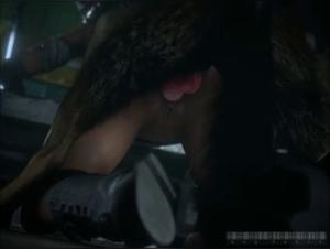 The Taboo World of Bestiality and Zoophilia