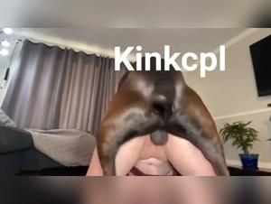 Bestiality videos to entertain animals