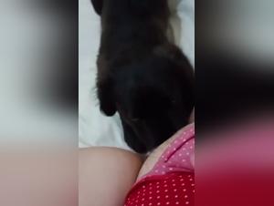 The Sexy Fuck with Chien: A Slut and Her Dog Get Laid