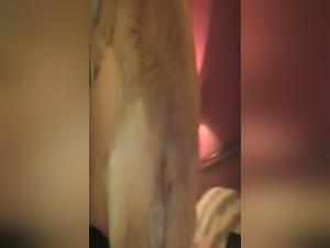 Sex with Dog - Mature Woman and Dog