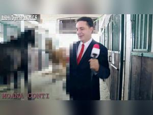 Videos of Bestiality with Horses