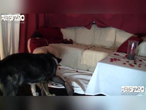 A Video You'll Want to Watch Twice