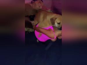 taboo beastsex explored