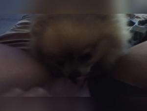 denise frazier video