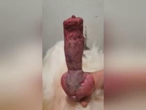 Bestial Fantasies Realized