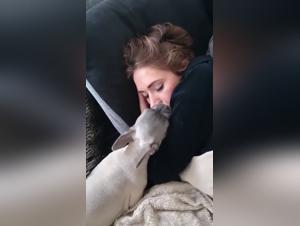 Intimate and Exciting Scene with a Four-Legged Best Friend