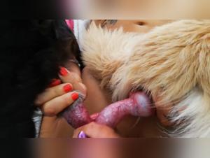 Zoophilia Clips : Discover the latest videos of bestiality with our dog and lovelorn girl.