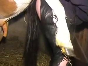 Scopri l'irriverenza della carne umana di fronte al crudo potere animale.
