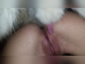 Blurred Lines: Wife & Family Dog Dynamics