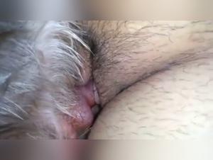 Discover the new video of BBW and dog on ArtofZoo