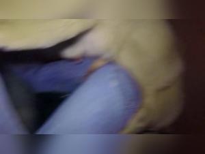 Forbidden Love: Canine Allure Unveiled