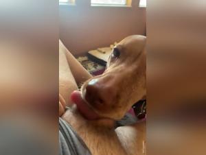 Dog Sex Video: A Wild Evening at the Juce Bar