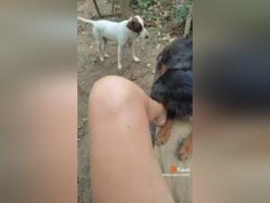Extreme Bestiality and Dog Sex Videos