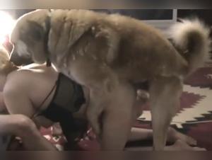Doppia scopata anale alla pecorina - Ragazza giapponese senza rimorsi