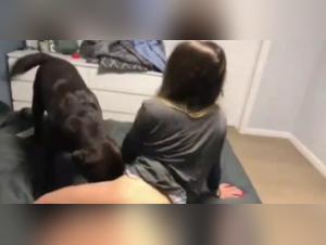 Bestiality sex video with mom and dog