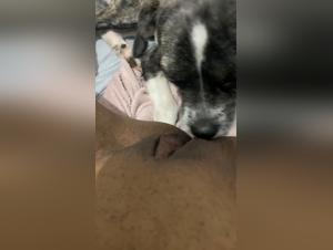 Xzoo: Legal and Ethical Considerations