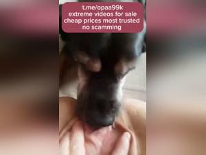 Dog Sex Videos: Admire This Woman and Her Dog in a Unique Relationship