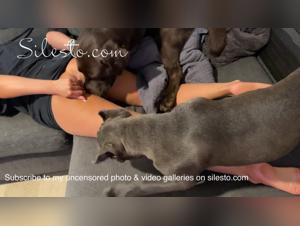 Découvrez la leçon de sexe bestialité de Veronica avec un Cane Corso