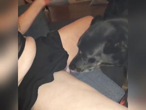 Hardcore and Extreme Sex Scenes with a Dog