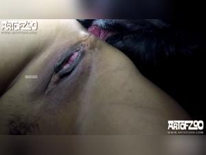 Discover the bestial passion of Lily and Hotshot in this intense bestiality video