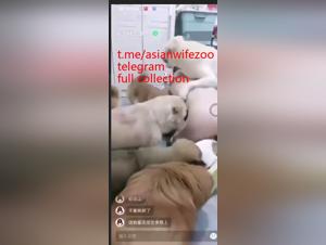 Fick mit Hund, chinesische perverse Freude