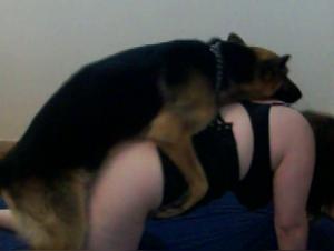 Esplorazione fetish: dominazione canina senza limiti