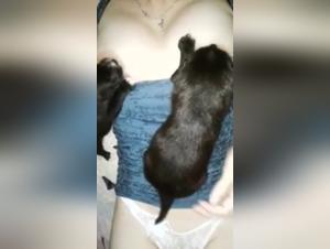 Zoophilia Video with a Dog: An Extreme Adventure