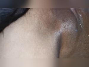 Exclusive bestiality video with a brunette