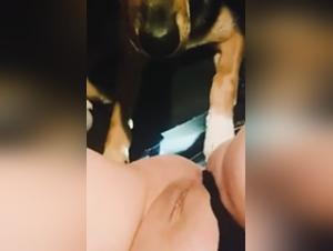 Bestialita hardcore: un fuso di cane e donna si uniscono