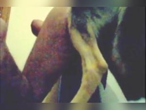 Sex with Dog Video: A Forbidden Encounter