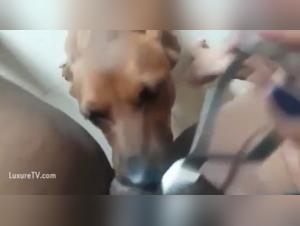 Ethical Dilemmas and Boundaries of Desire