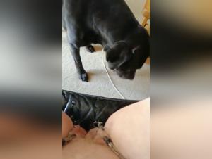 Bestiality and Extreme Sex with a Dog