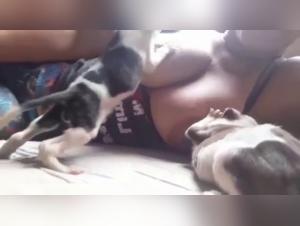 breastfeeding two puppies 1