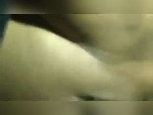 Experience sex with a dog like you've never seen it before