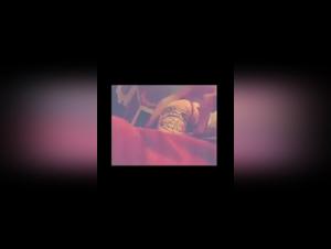 Bestiality video: a woman and her dog in an unexpected encounter