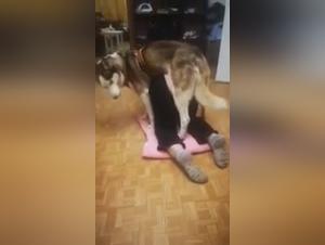 Dog Worship: A Woman Devoted to Her Animal Fuck
