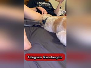K9girl fatto in casa, sottomissione bruto e lalustrazione