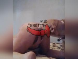 Women who screw with household cats - Animal erotica