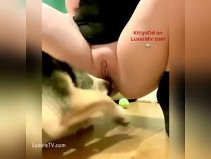 Discover the passion between a BBW and her dog