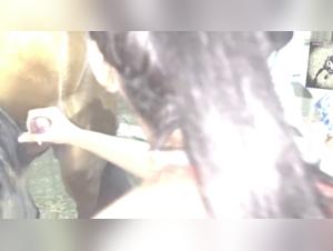 Epische Cumshots: Tierausbeutung auf die Spitze getrieben