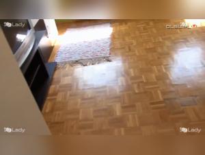 La pute salope eclate en baise avec son chien