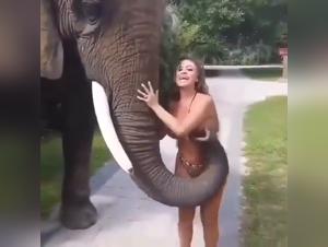 Unforgettable Moments in Animal Porn Video