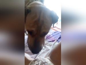 A hard zoophilia experience with a mature woman