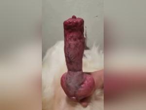 The Slut F*cks with Dog: A Teenager's Bestiality Story