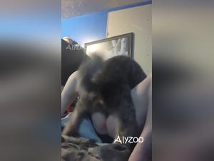 knots profonds, baise canine sauvage, soumission totale