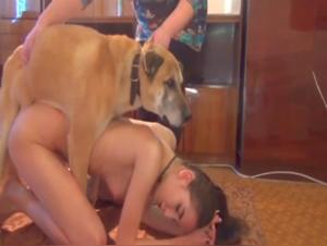 Introduction to Bestiality - An Extreme Experience