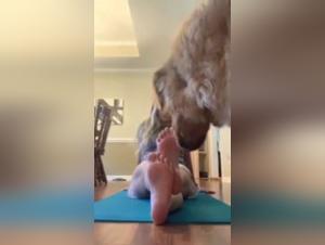 Bestiality sex video with dog