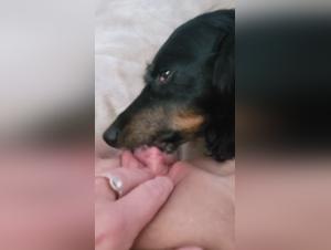 Vidéo de sexe bestialité avec un chien