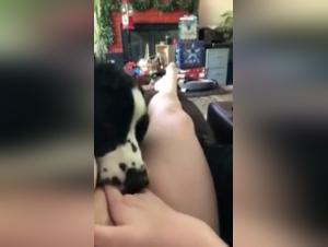 Part 2 of 2: An Intense and Exciting Zoophilia Scene